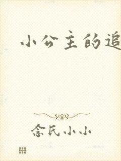 小公主的追夫记