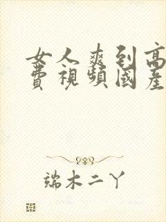 女人爽到高潮免费视频国产