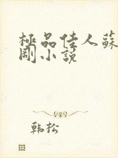 极品佳人苏柔赵刚小说