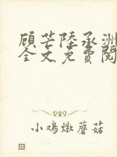 顾芒陆承洲小说全文免费阅读无弹窗