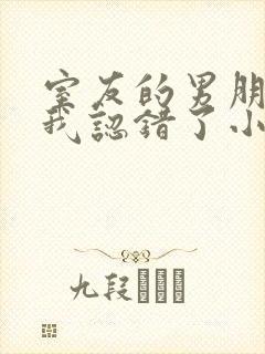 室友的男朋友把我认错了小说