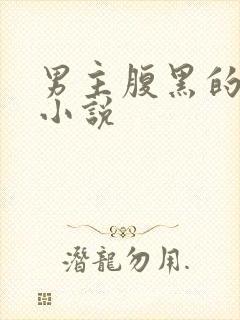 男主腹黑的古言小说