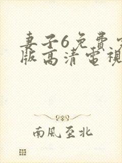 妻子6免费完整版高清电视剧