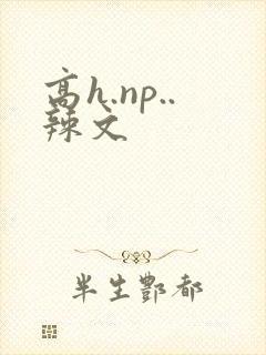 高h.np..辣文封面