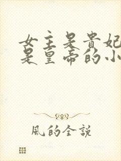 女主是贵妃男主是皇帝的小说封面