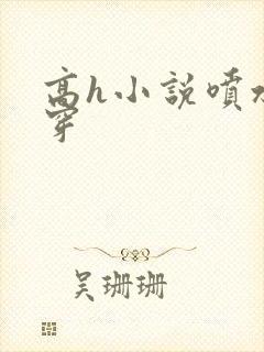 高h小说喷水快穿封面