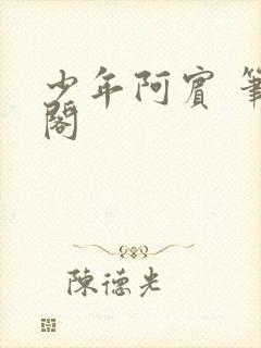 少年阿宾 笔趣阁