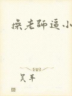 操老师逼小说封面