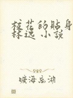 校花的贴身高手林逸 小说