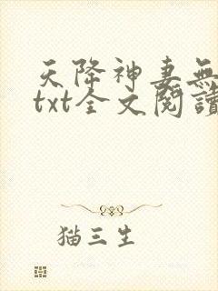 天降神妻无删减txt全文阅读下载封面