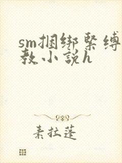 sm捆绑紧缚调教小说h封面