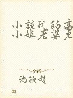 小说我的高冷大小姐老婆免费看封面