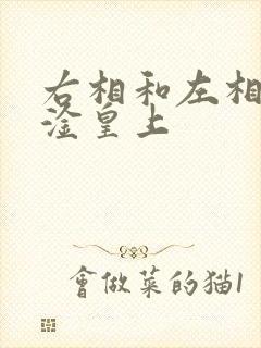 右相和左相一起淦皇上封面