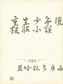 重生少年猎美精校版小说