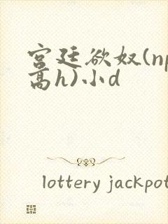 宫廷欲奴(np高h)小d