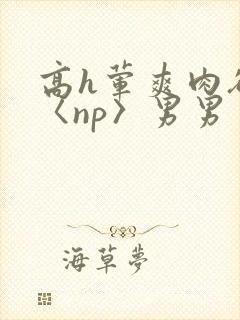 高h荤爽肉欲文〈np〉男男