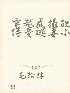 穿越成摄政王的侍爱逃妻小说免费封面