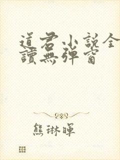道君小说全文阅读无弹窗
