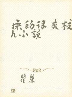 操的很爽校园高h小说