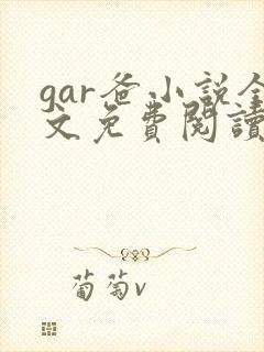 gar爸小说全文免费阅读最新章节