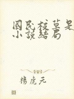 国民校草是女生小说结局封面