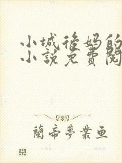 小城后妈的春天小说免费阅读