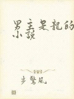 男主是龙的玄幻小说封面