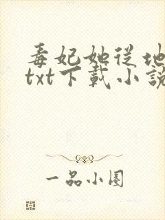 毒妃她从地狱来txt下载小说封面