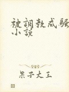 被调教成骚母狗小说封面