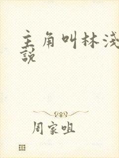 主角叫林浅的小说封面