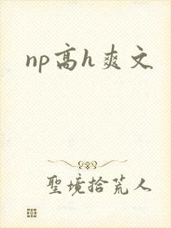 np高h爽文