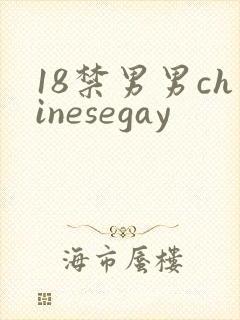18禁男男chinesegay