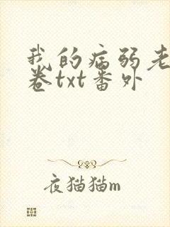 我的病弱老婆花卷txt番外