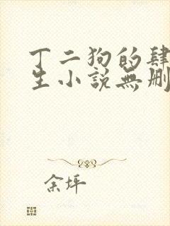 丁二狗的肆意人生小说无删减txt