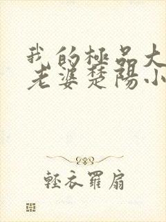 我的极品大小姐老婆楚阳小说阅读