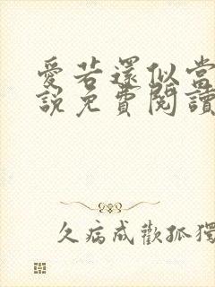 爱若还似当初小说免费阅读