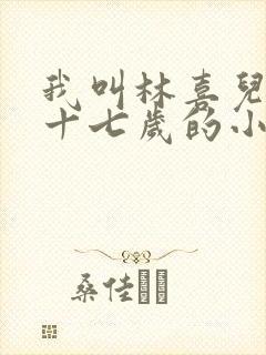 我叫林喜儿今年十七岁的小说在线阅读