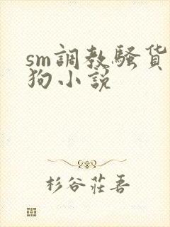 sm调教骚货母狗小说