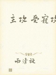 主攻 受宠攻文