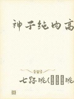 神子纯肉高h文