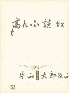高h小说 txt