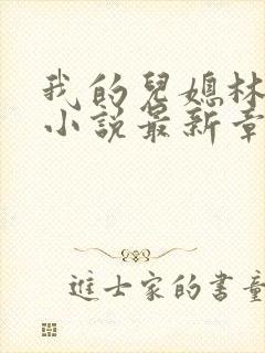 我的儿媳林曼曼小说最新章节更新时封面