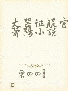 大器征服官场的萧阳小说封面