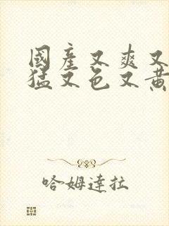 国产又爽又粗又猛又色又黄免费视频