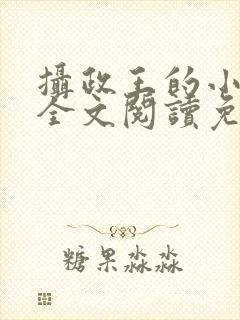 摄政王的小闲妻全文阅读免费