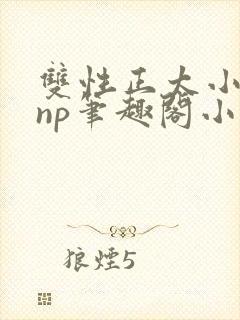 双性正太小男孩np笔趣阁小说