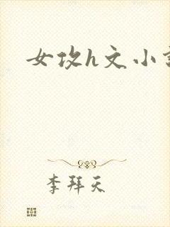 女攻h文小说封面