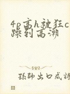 4p高h被狂c躁到高潮封面