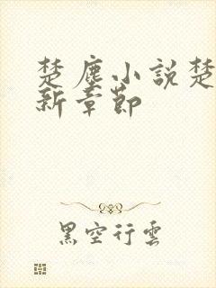 楚尘小说楚尘最新章节封面