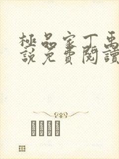 极品家丁禹岩小说免费阅读全文无删减